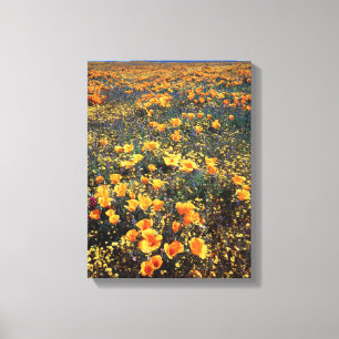 California, Cleveland National Forest Canvas Print