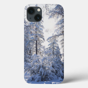 California, Cleveland National Forest, Laguna 1 iPhone 13 Case