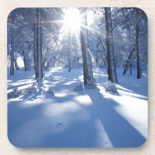 California, Cleveland National Forest, Laguna 3 Coaster