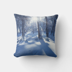 California, Cleveland National Forest, Laguna 3 Cushion