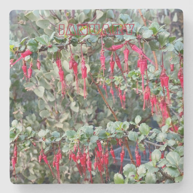 CALIFORNIA COASTER: JANUARY STONE COASTER (Front)