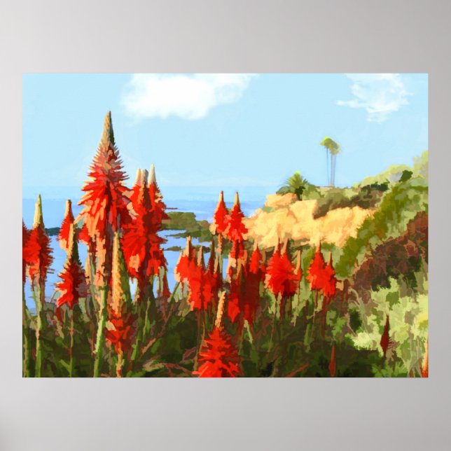 California Coastline & Red Hot Poker Plants Poster (Front)