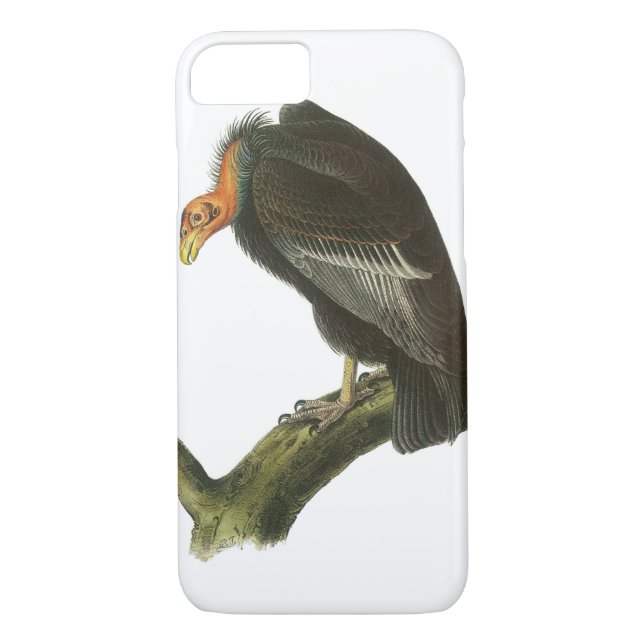 California Condor by Audubon Case-Mate iPhone Case (Back)