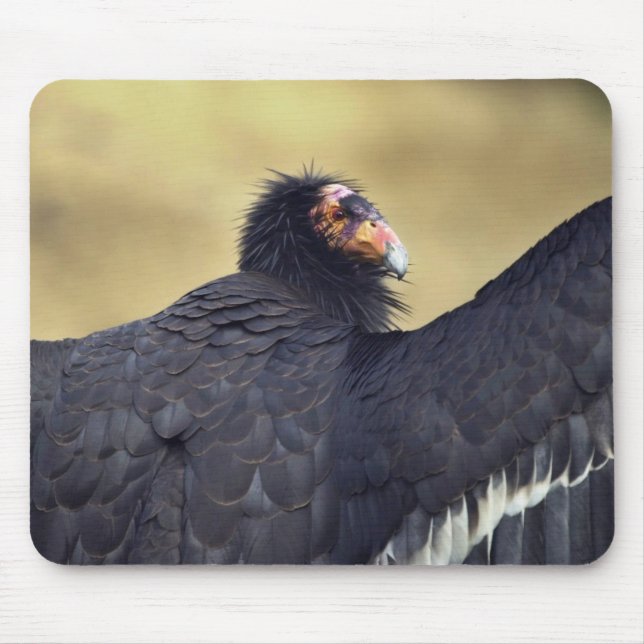California condor mouse mat (Front)