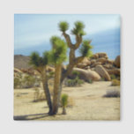 California Desert Succulents, Rocks & Clear Sky Magnet<br><div class="desc">A wonderful view of California succulents and rocks in the desert with clear blue skies,  perfect for a hike.</div>