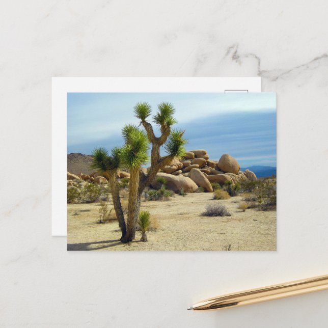California Desert Succulents, Rocks & Clear Sky Postcard (Front/Back In Situ)