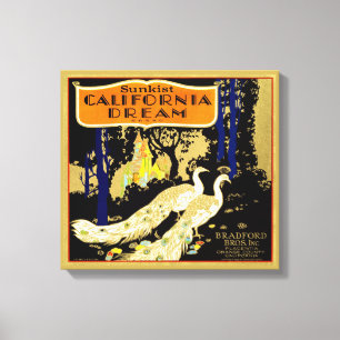 California Dream Brand Orange Crate Fruit Label 19 Canvas Print