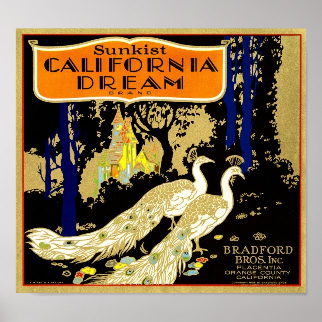 California Dream Brand Orange Crate Fruit Label 19 Poster (Front)