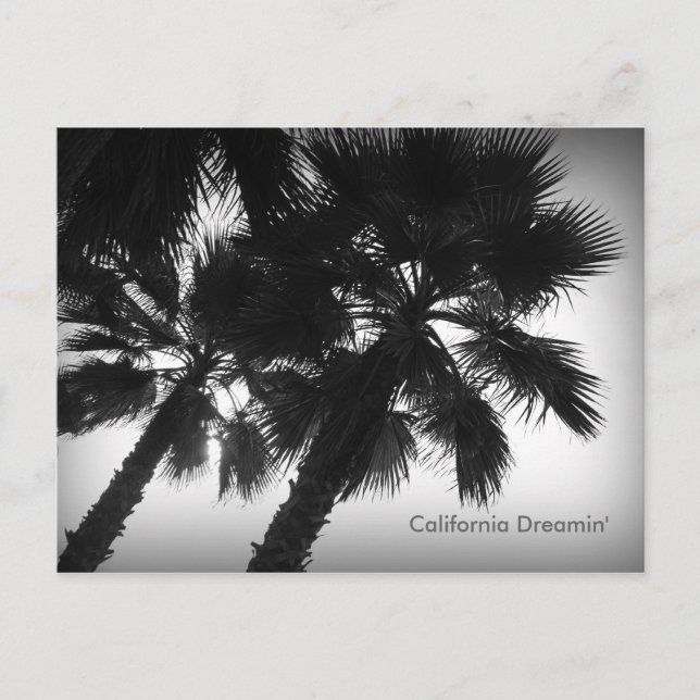 California Dreamin' Palm Trees Postcard (Front)