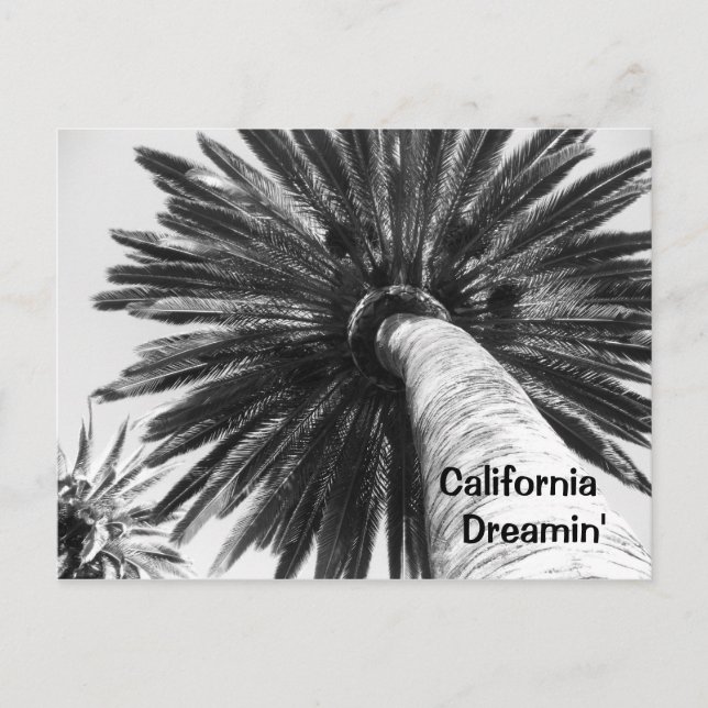 California Dreamin' Postcard (Front)