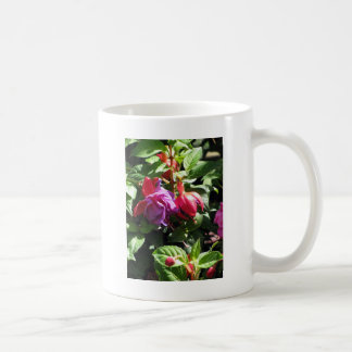 California Dreaming Coffee Mug