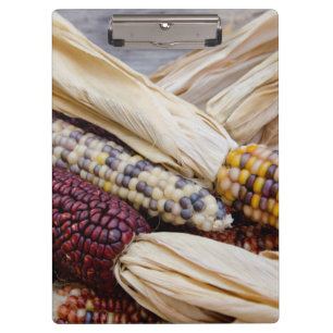 California. Fall Harvest Colourful Indian Corn Clipboard
