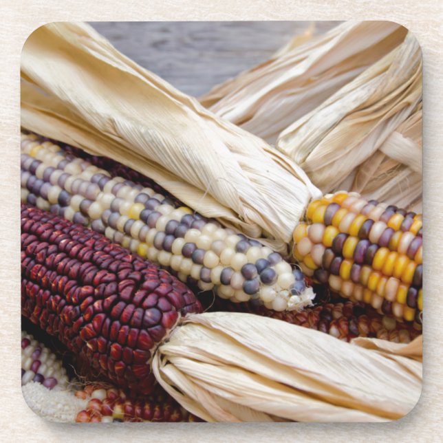 California. Fall Harvest Colourful Indian Corn Coaster (Front)