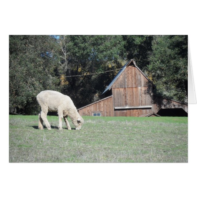 California Farm (Front Horizontal)