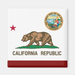 California flag magnet