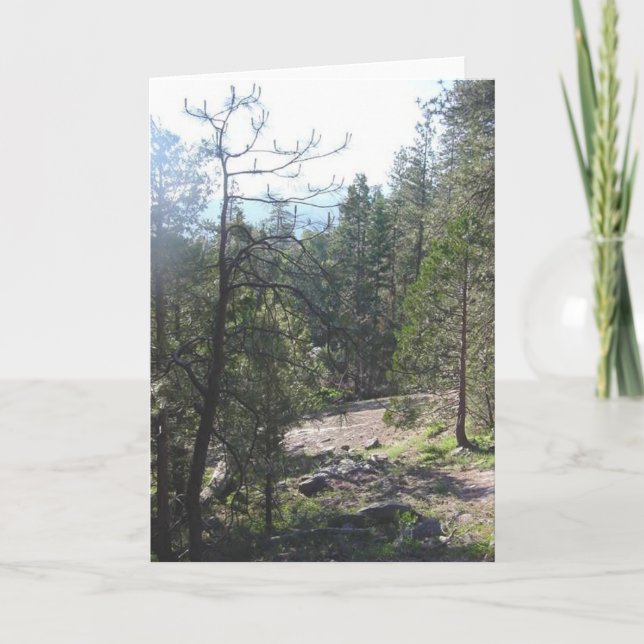 California Forest Card (Front)