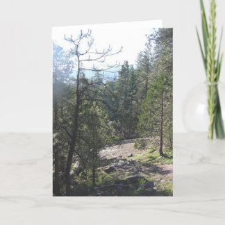 California Forest Card