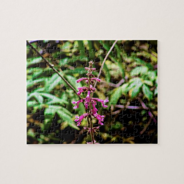 California Forest Flower | Beardtongue Jigsaw Puzzle (Horizontal)