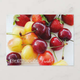 California Fresh Fruits Postcard