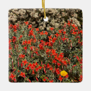 California Fuchsia Ceramic Ornament