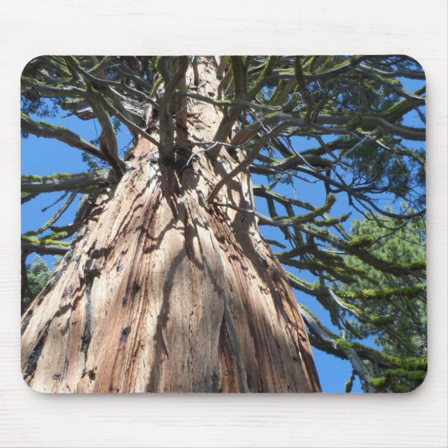 California Giant Mouse Mat (Front)