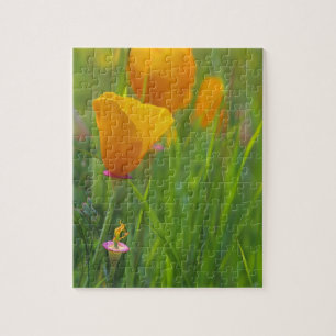 California golden poppies in a green field jigsaw puzzle