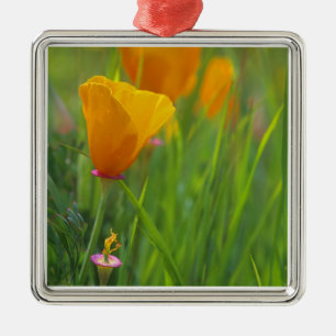 California golden poppies in a green field metal tree decoration