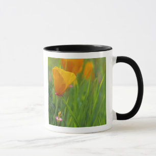 California golden poppies in a green field mug