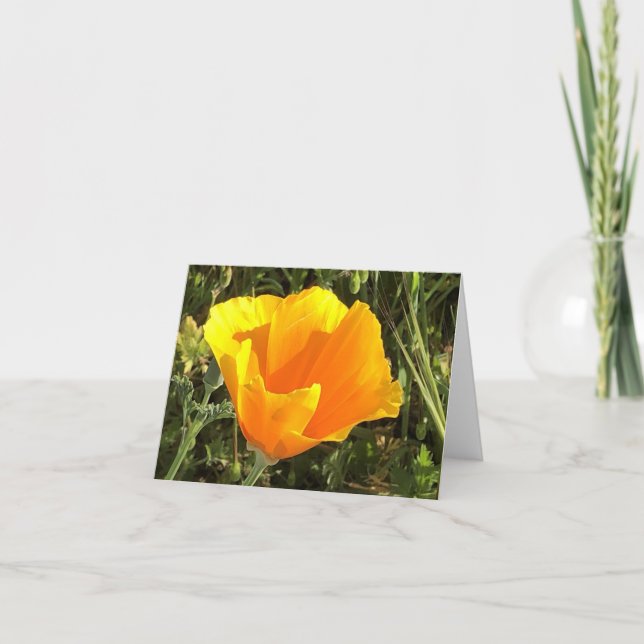 California Golden Poppy - 1 Thank You Card (Front)