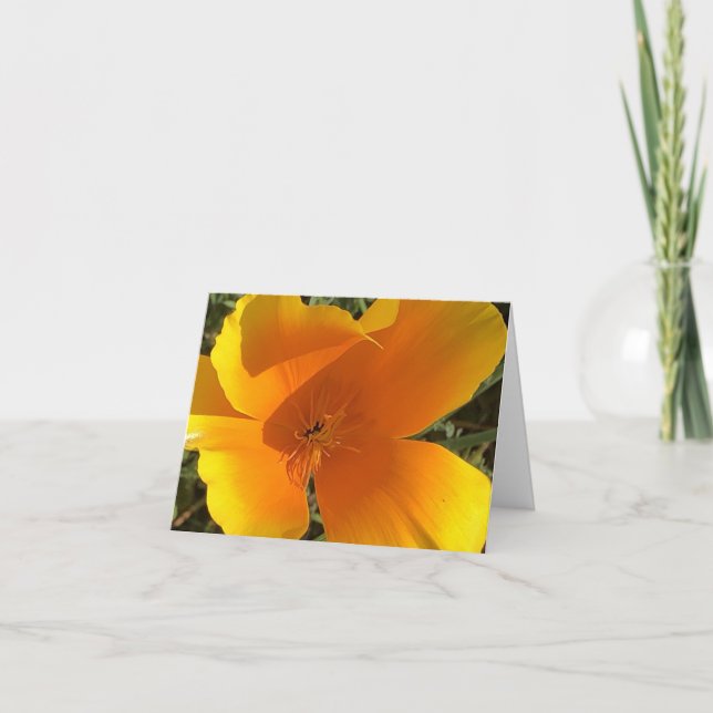 California Golden Poppy - 2 Thank You Card (Front)