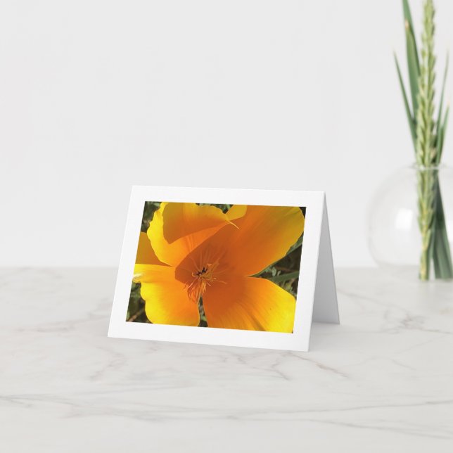 California Golden Poppy - 3 Thank You Card (Front)