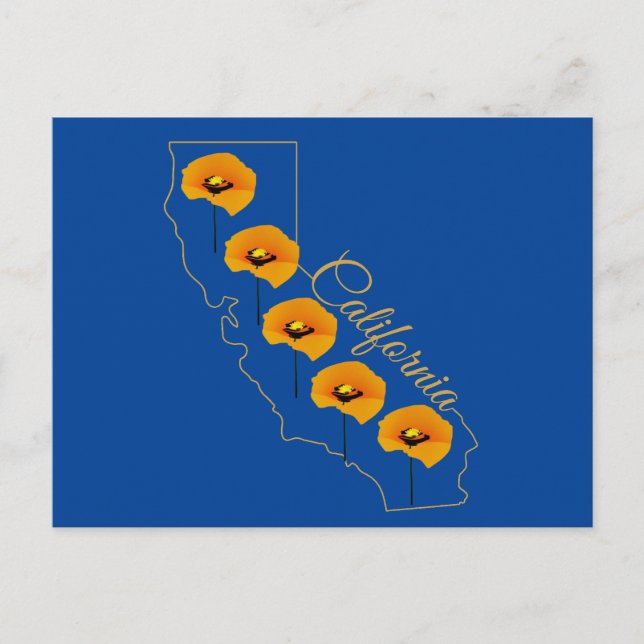 California Golden State Poppy Floral Postcard (Front)