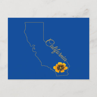California Golden State Poppy Floral Postcard