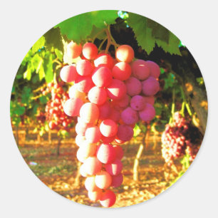 California Grapes Classic Round Sticker