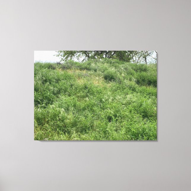 California Green Canvas Print (Front)