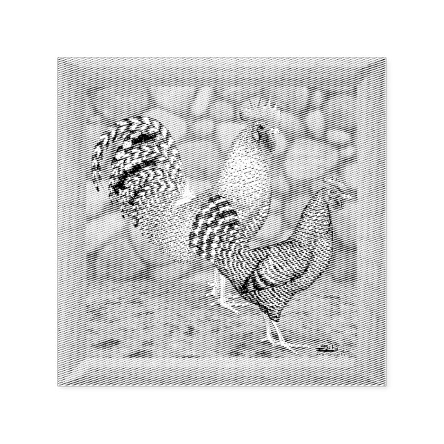California Grey Chickens Self-inking Stamp (Design)
