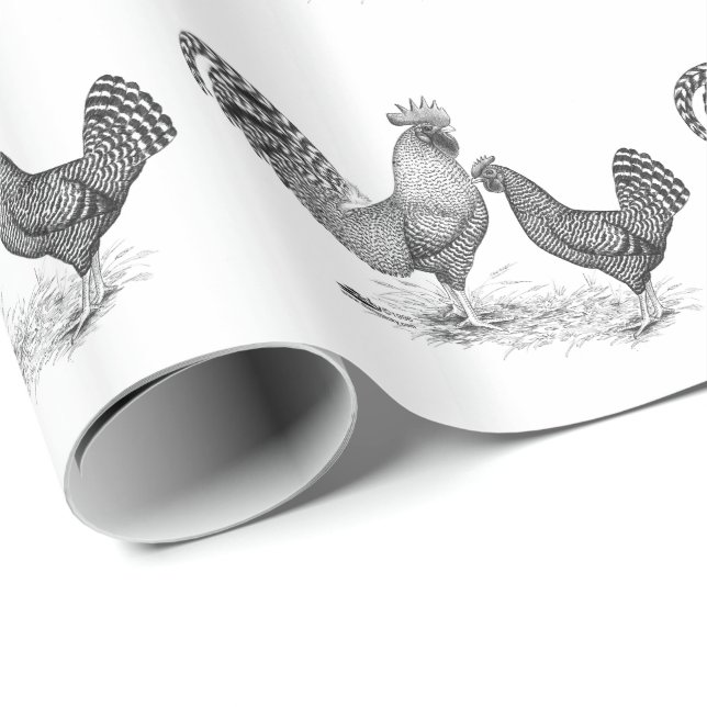 California Grey Rooster and Hen Wrapping Paper (Roll Corner)