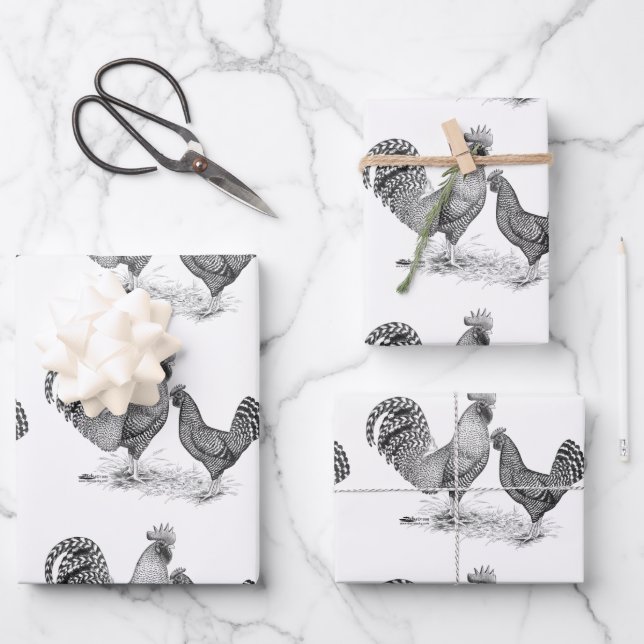 California Grey Rooster and Hen Wrapping Paper Sheet (Front)