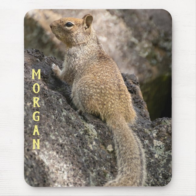 California Ground Squirrel Mouse Mat (Front)
