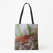 California Gulf Fritillary Butterfly