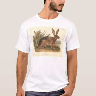 California Hare by Audubon (0177A) T-Shirt