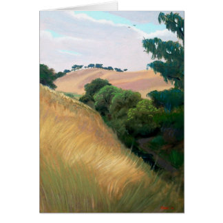 California Hills