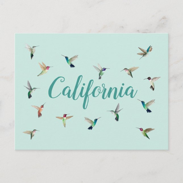 California Hummingbirds Postcard (Front)