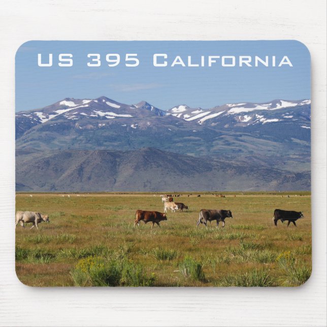 California HWY 395 Landscape Mouse Mat (Front)