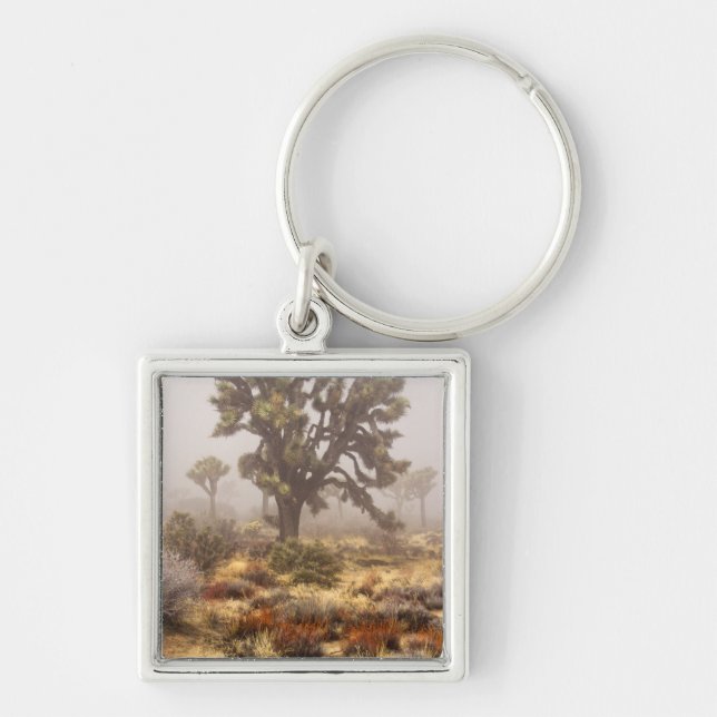 California: Joshua Tree National Monument, Key Ring (Front)