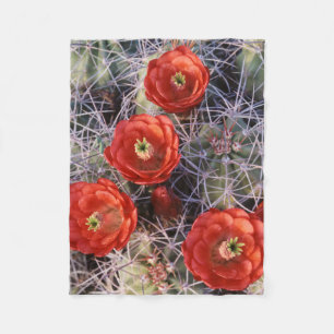 California, Joshua Tree National Park, Claret Fleece Blanket