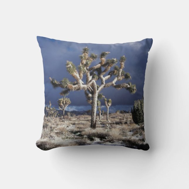 California, Joshua Tree National Park Cushion (Front)