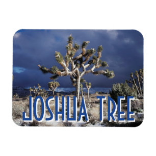 California, Joshua Tree National Park Magnet