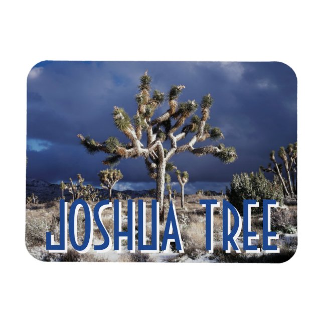California, Joshua Tree National Park Magnet (Horizontal)