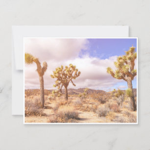 California Joshua Trees National Park Landscape Postcard